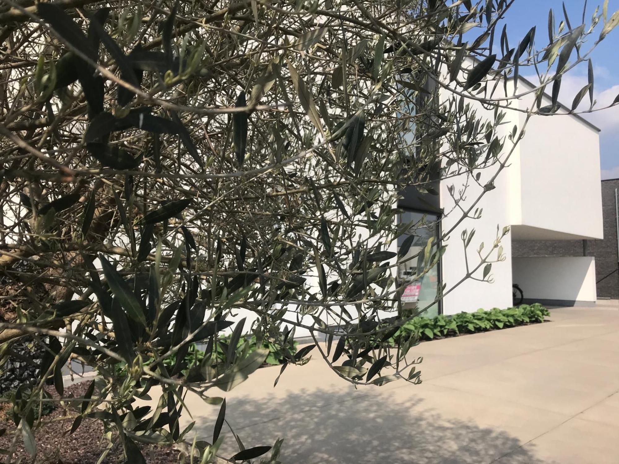 Vita Roka Met Extra Luxe Prive Wellness Ursel Exterior foto